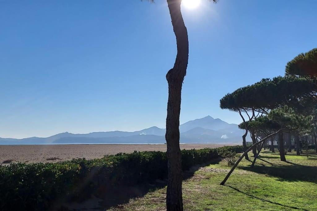 Appartement Renove Avec Balcon A 100 M De La Plage Argelès-sur-Mer Buitenkant foto